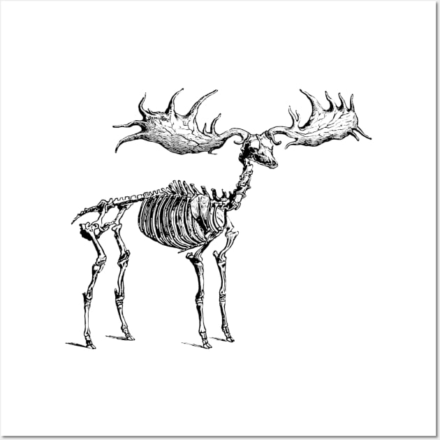 Moose Skeleton Wall Art by KnuckleTonic